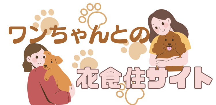 カワイイがいっぱい！ワンダーランド